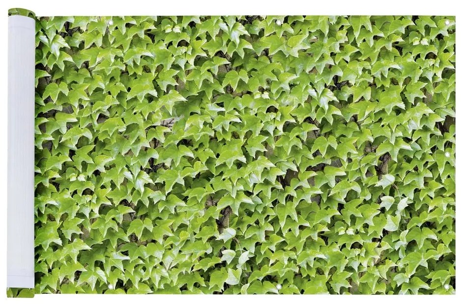 Zielona plastikowa osłona balkonowa 500x85 cm Wilder Wein – Maximex