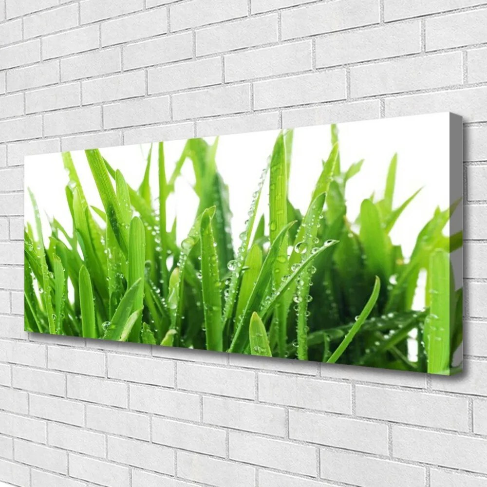 Fotoobraz na płótnie Soczysta Zielona Trawa