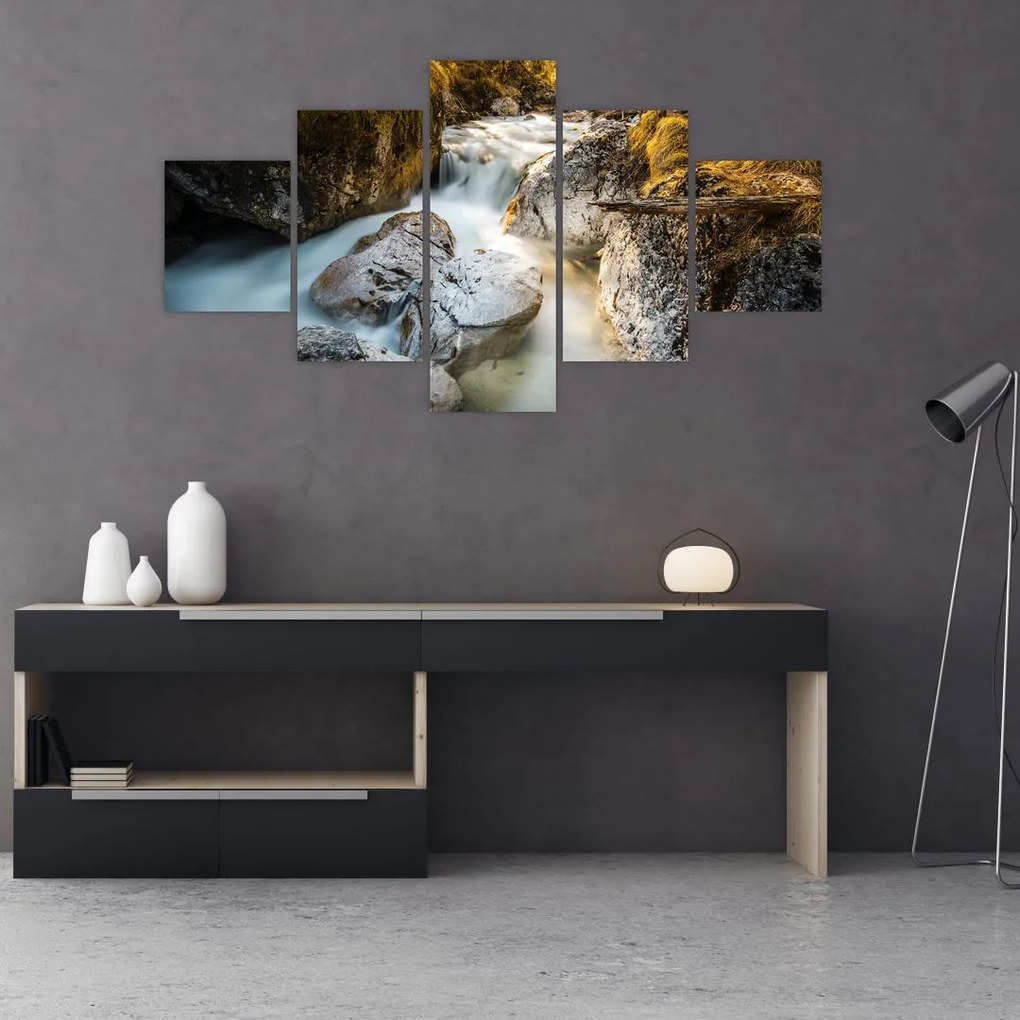 Obraz - Strumień leśny (125x70 cm)