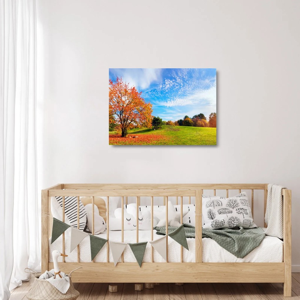Obraz na szkle - Jesienny krajobraz (70x50 cm)