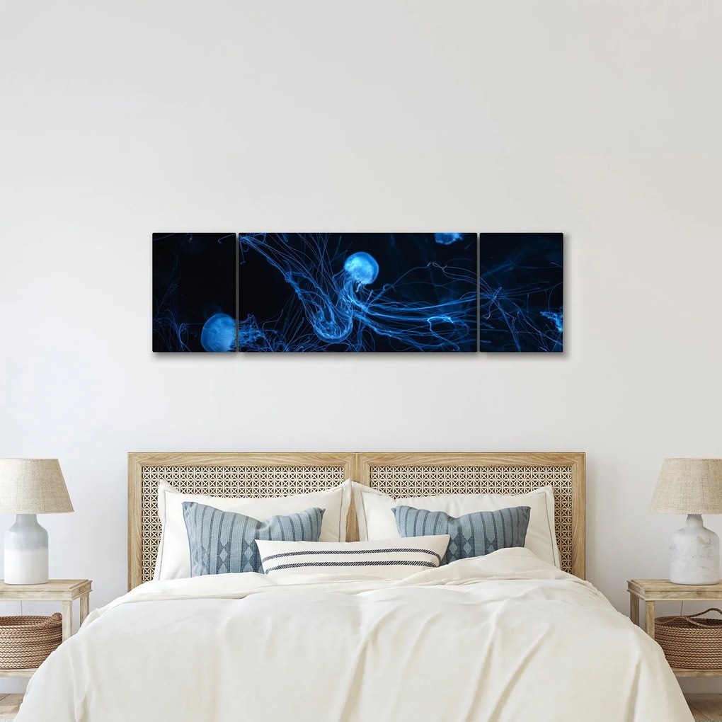 Obraz - Meduza (170x50 cm)