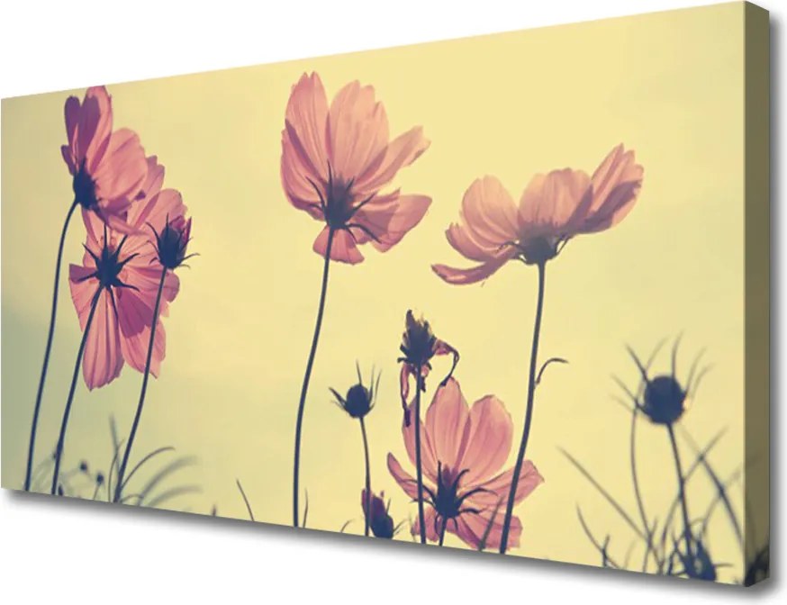 Obraz canvas Delikatność Letnich Kwiatów