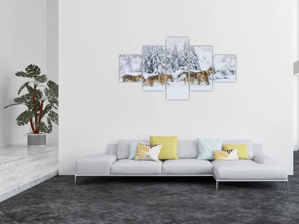 Obraz - Wilki w górach (125x70 cm)