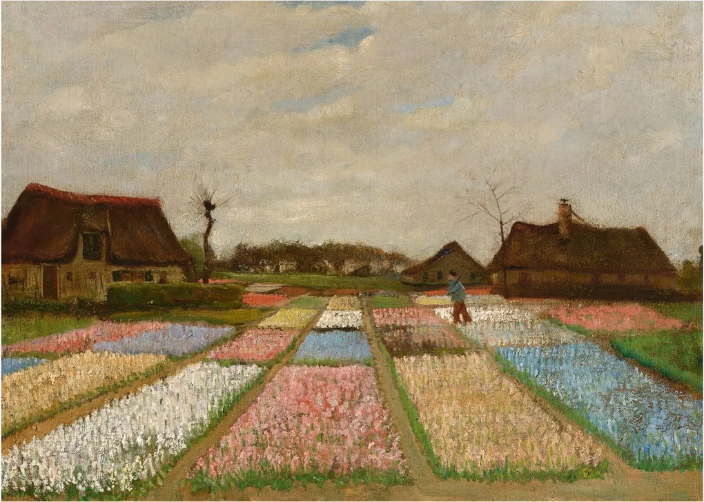 Obraz - Vincent van Gogh, Flower Beds in Holland, reprodukcje (70x50 cm)