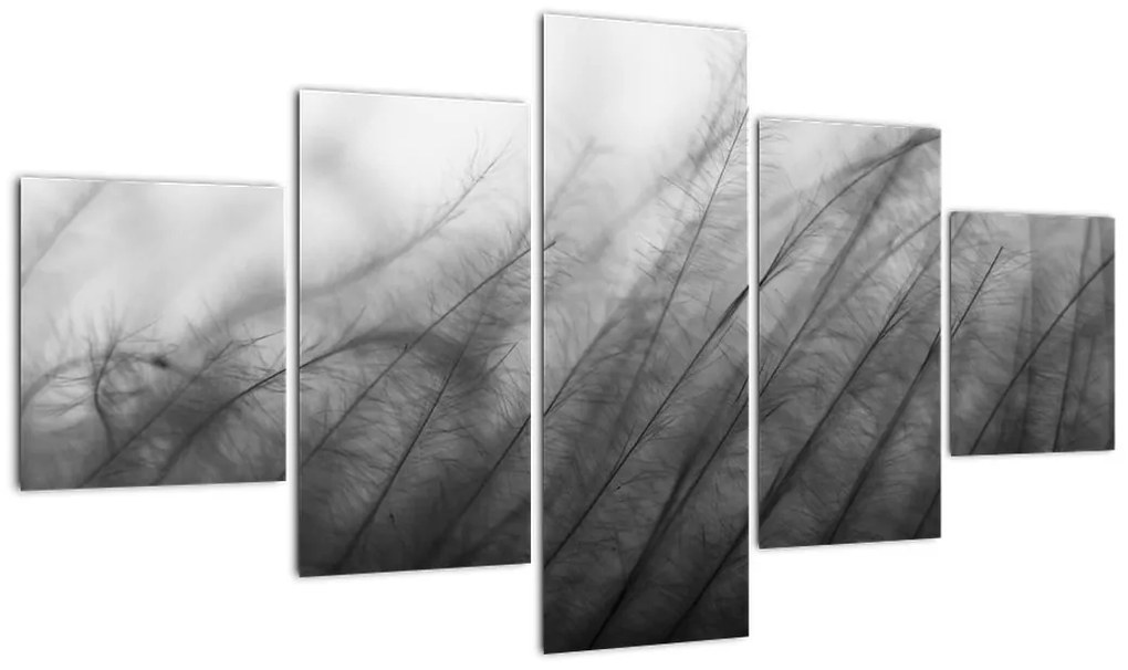 Obraz - Trawa na wietrze (125x70 cm)