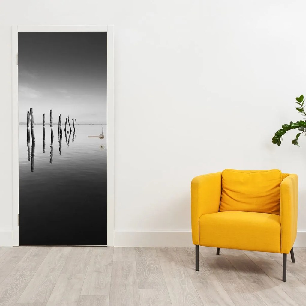Fototapeta na drzwi - Czarno - biała powierzchnia wody (95x205cm)