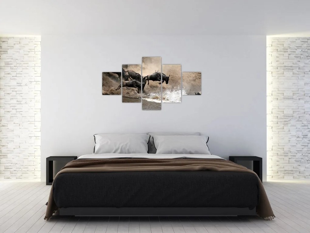 Obraz - Stado antylop gnu (125x70 cm)