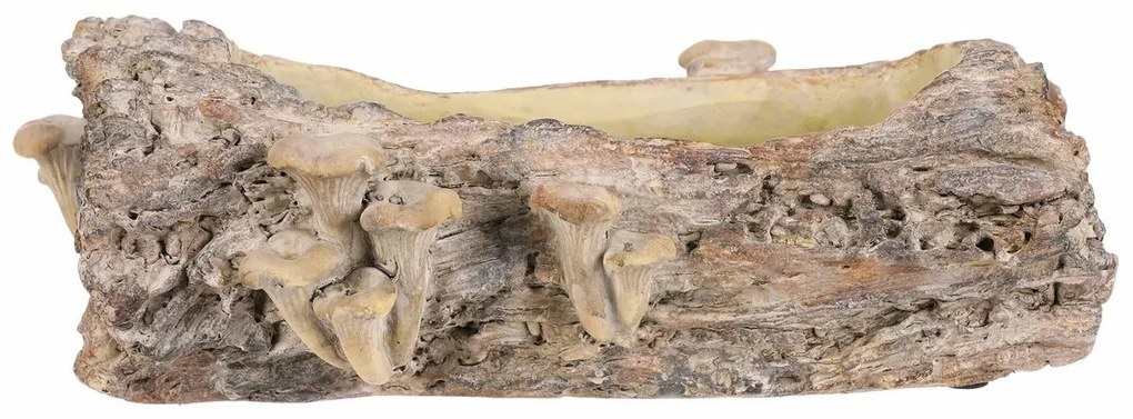 Opakowanie betonowe - skrzynka, drewno z grzybami,36 x 18 x 13 cm, brązowe
