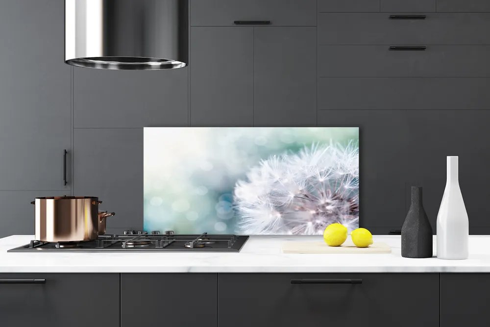 Szkło do Kuchni na Ścianę Puszysty Mniszek Lekarski