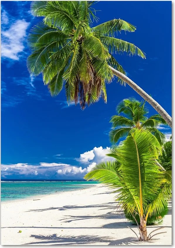 Foto obraz szklany pionowy Tropikalna plaża