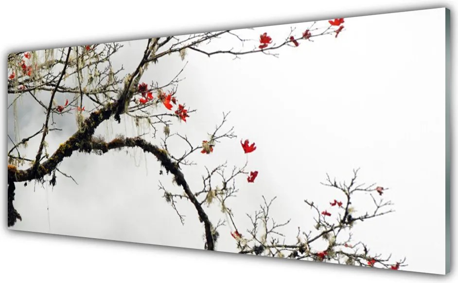 Panel Szklany do Kuchni Kwitnąca Gałązka Jabłoni