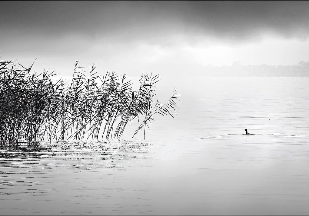 Obraz na płótnie By the Lake II