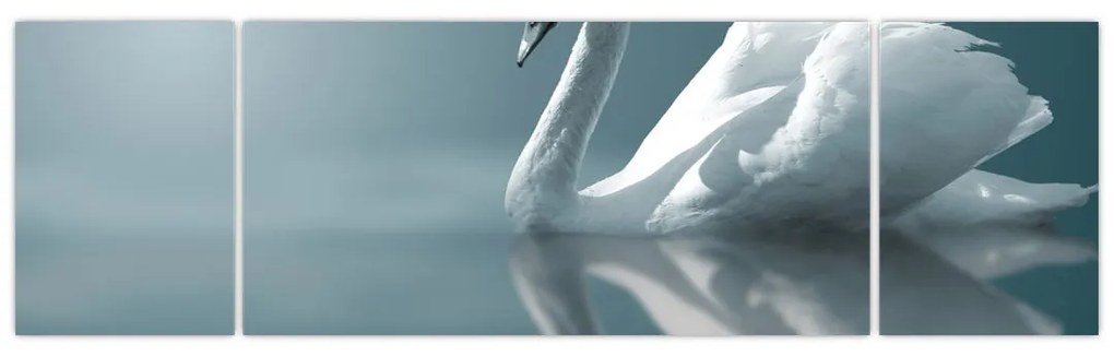 Obraz - Biały łabędź (170x50 cm)