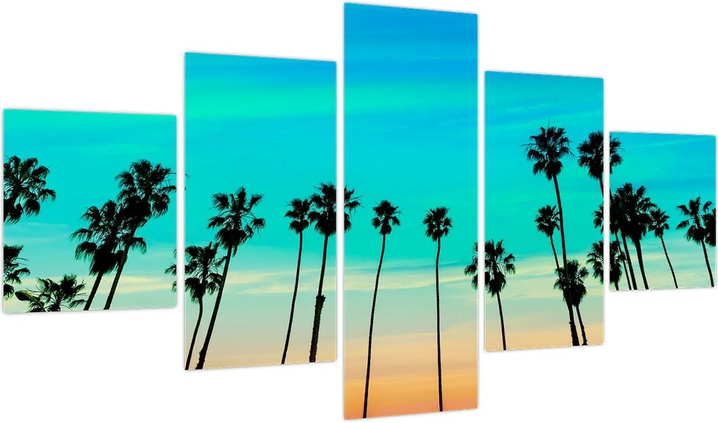 Obraz - Kalifornia (125x70 cm)