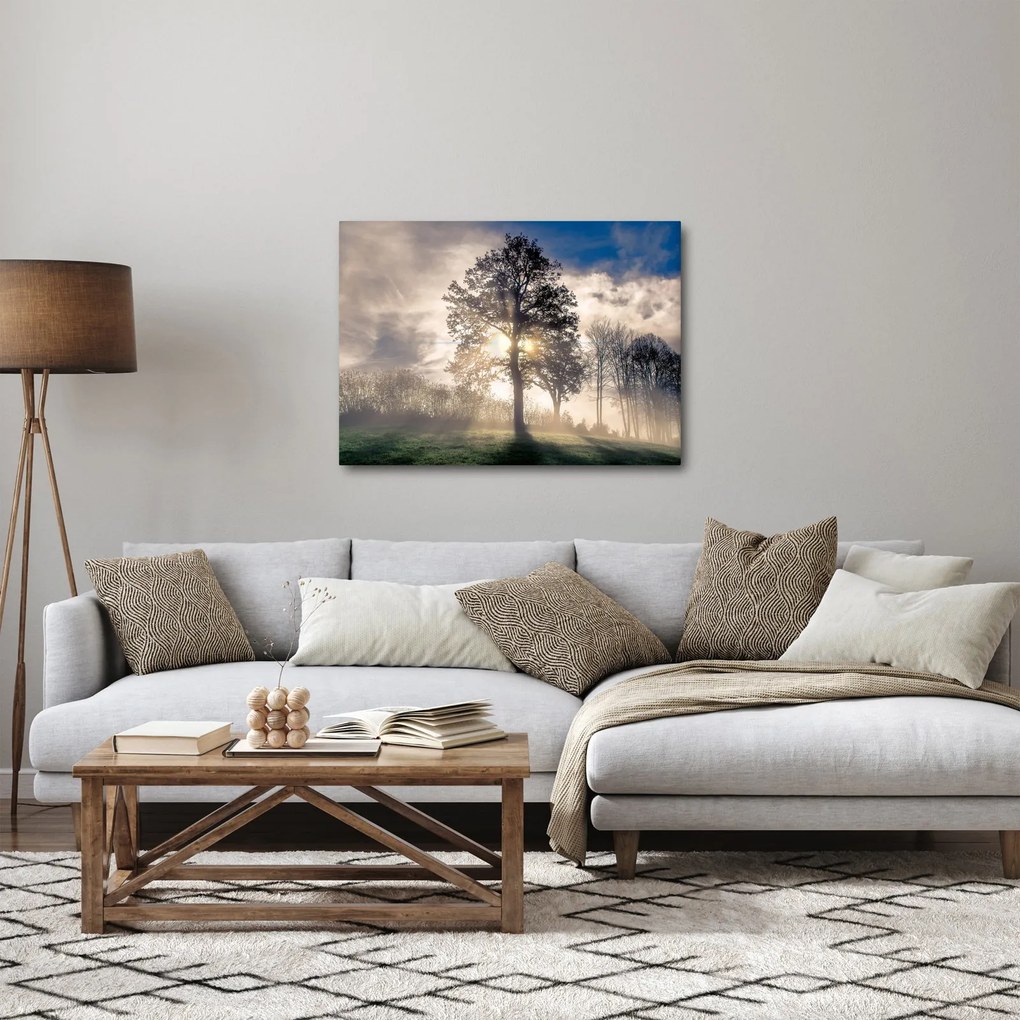 Obraz drzewa we mgle (70x50 cm)