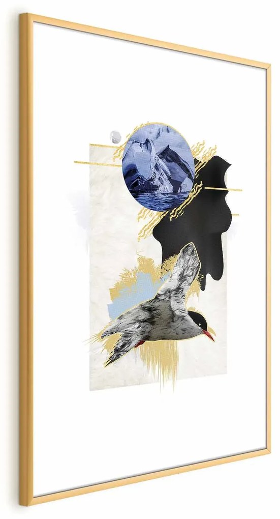 Plakat Rybitwa antarktyczna 40x60 cm z ramą złotą z marginesem ARTGEIST B