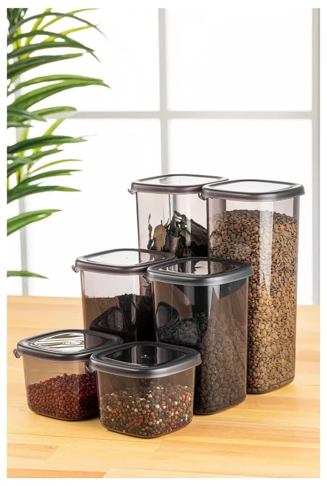 Pojemniki 6 szt. na żywność Fresco – Hermia