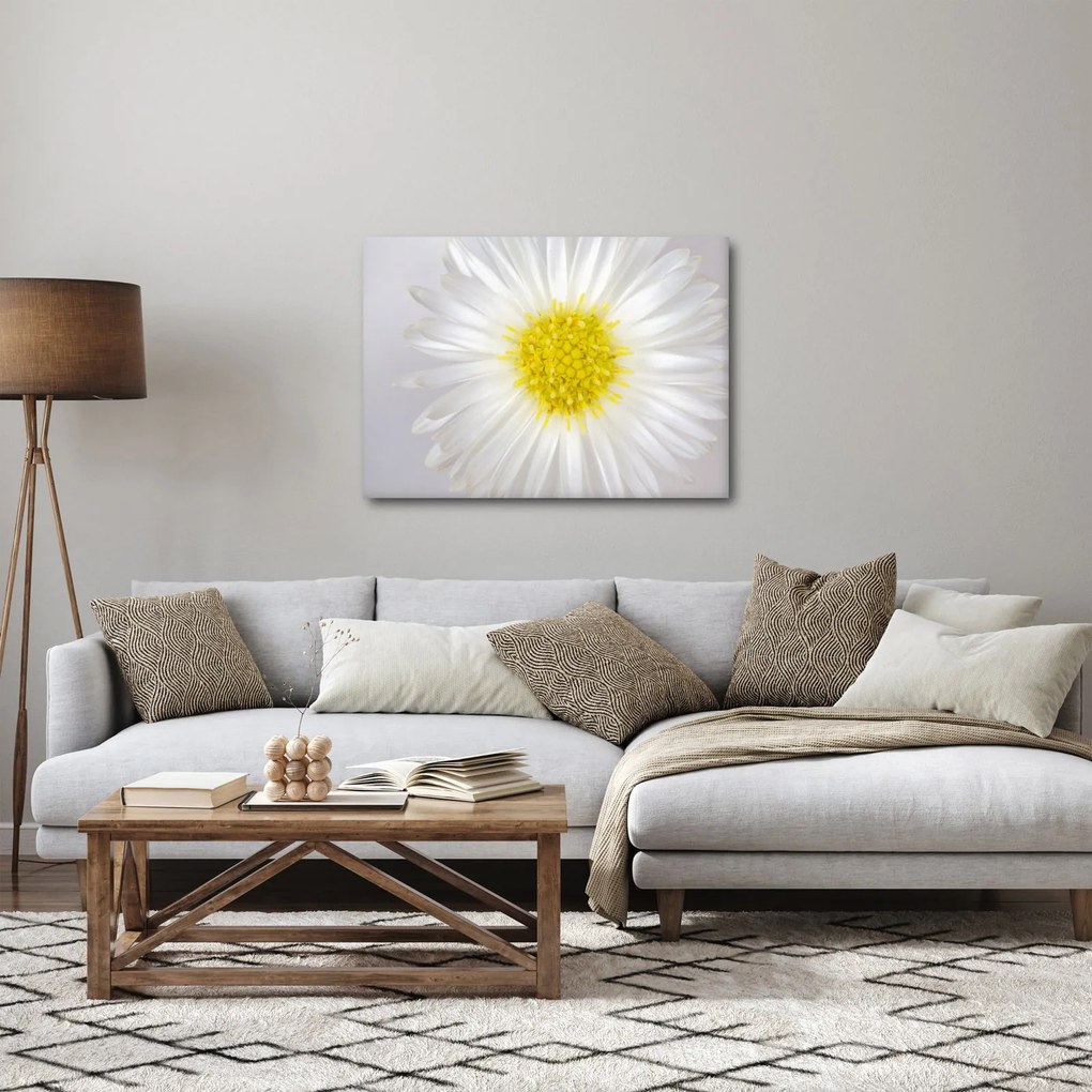 Obraz - Margarita (70x50 cm)