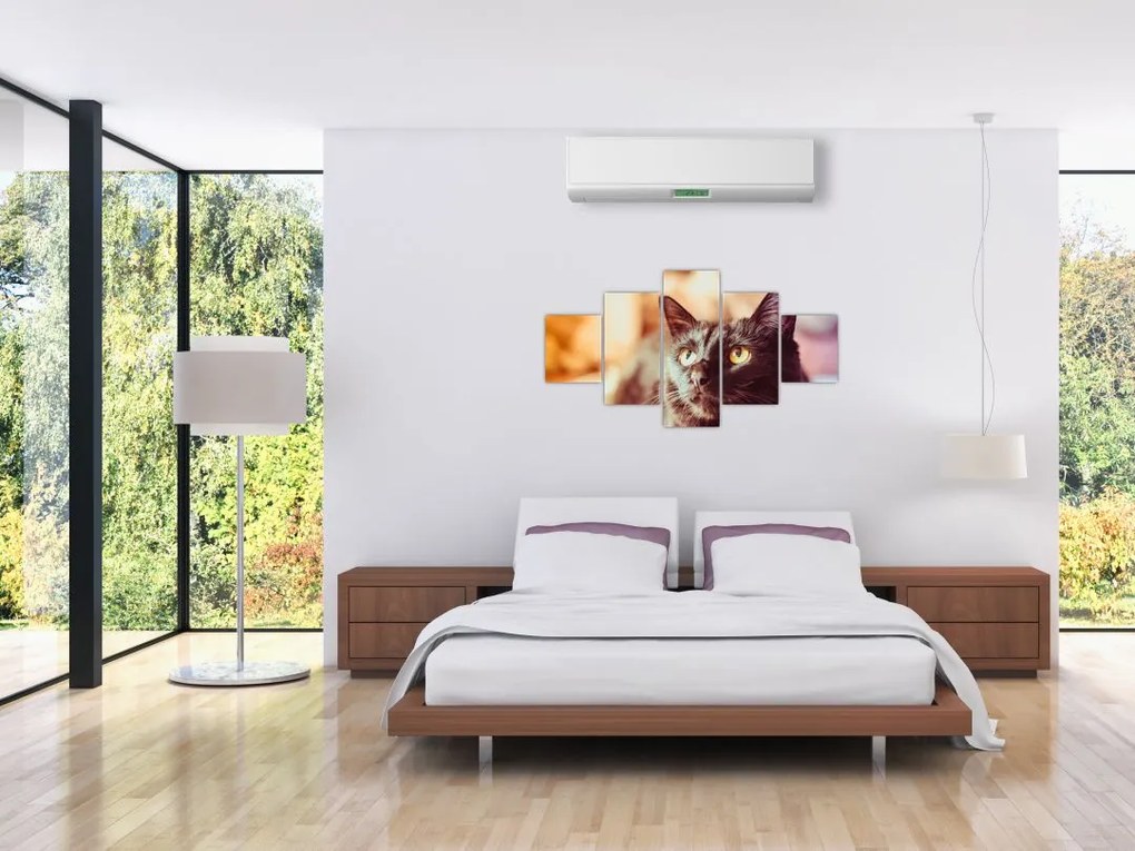 Obraz czarnego kota (125x70 cm)
