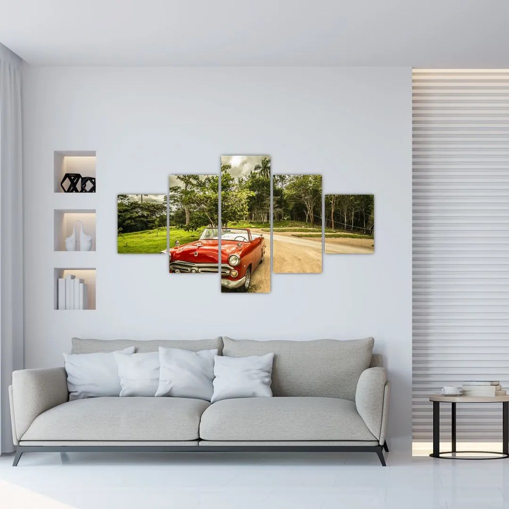 Obraz - zabytkowy samochód w przyrodzie (125x70 cm)