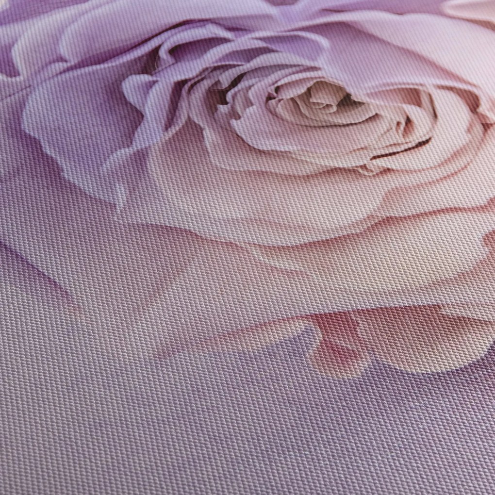 Obraz szczegółu kwiatu róży (170x50 cm)