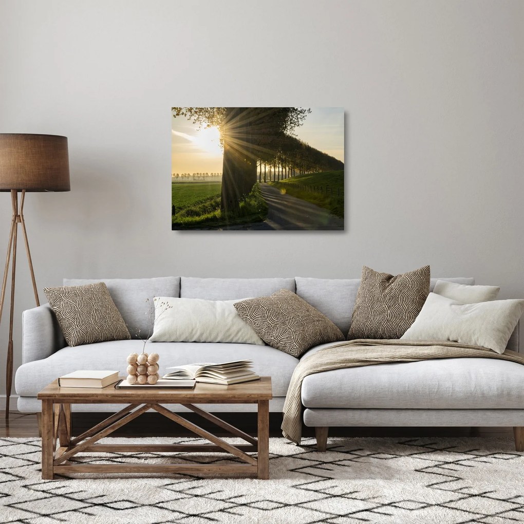 Obraz na szkle - aleja (70x50 cm)