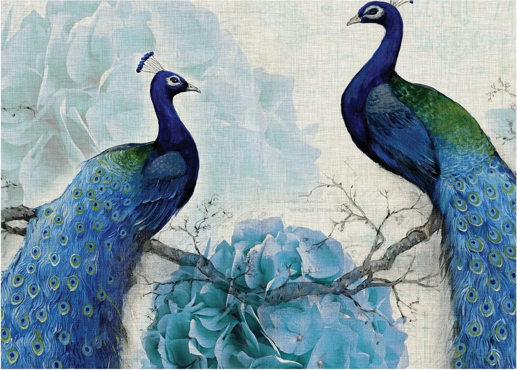 Obraz - Pawie tekstury (70x50 cm)