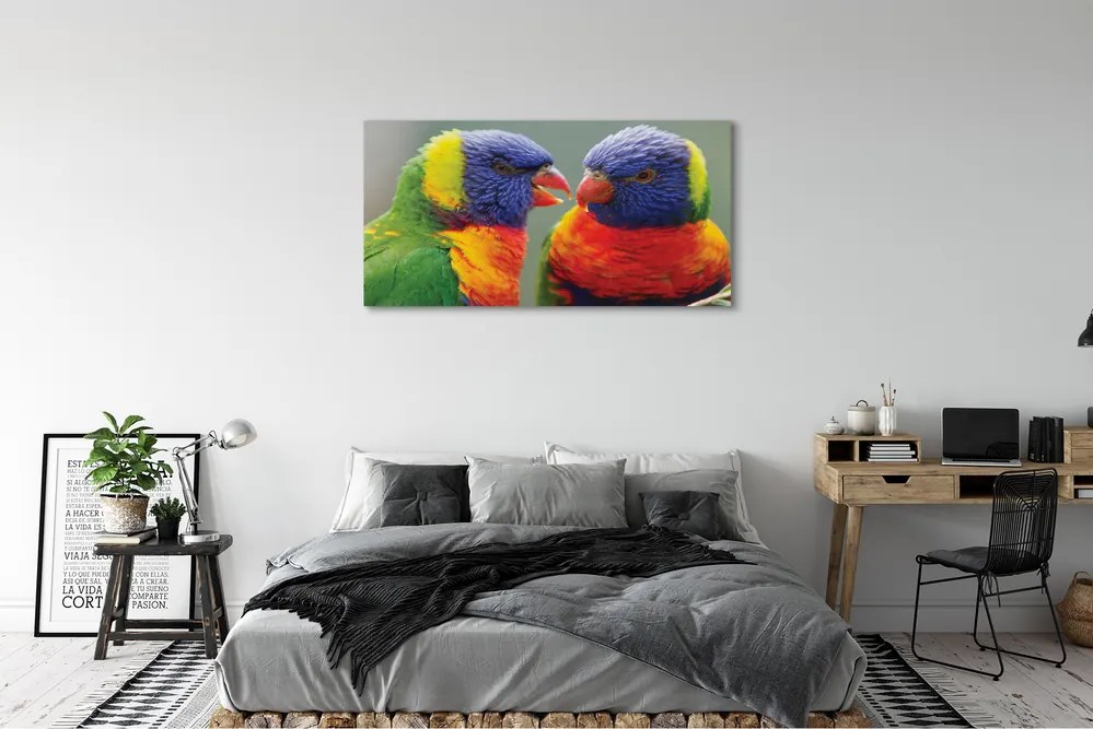 Fotoobraz na płótnie Feeria Barw: Papugi