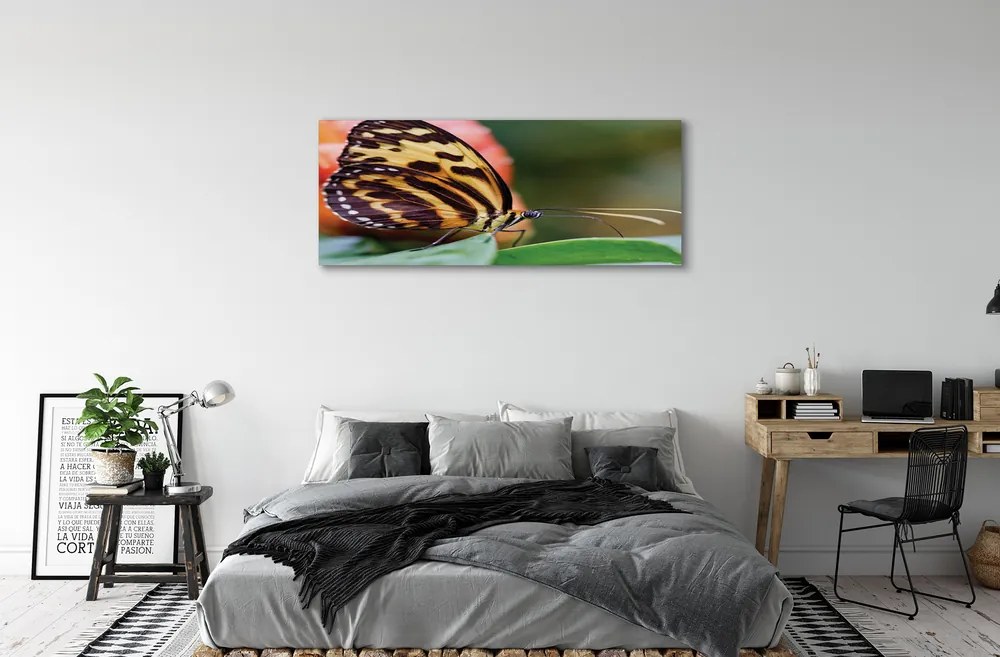 Obraz drukowany na płótnie Motyl w Locie