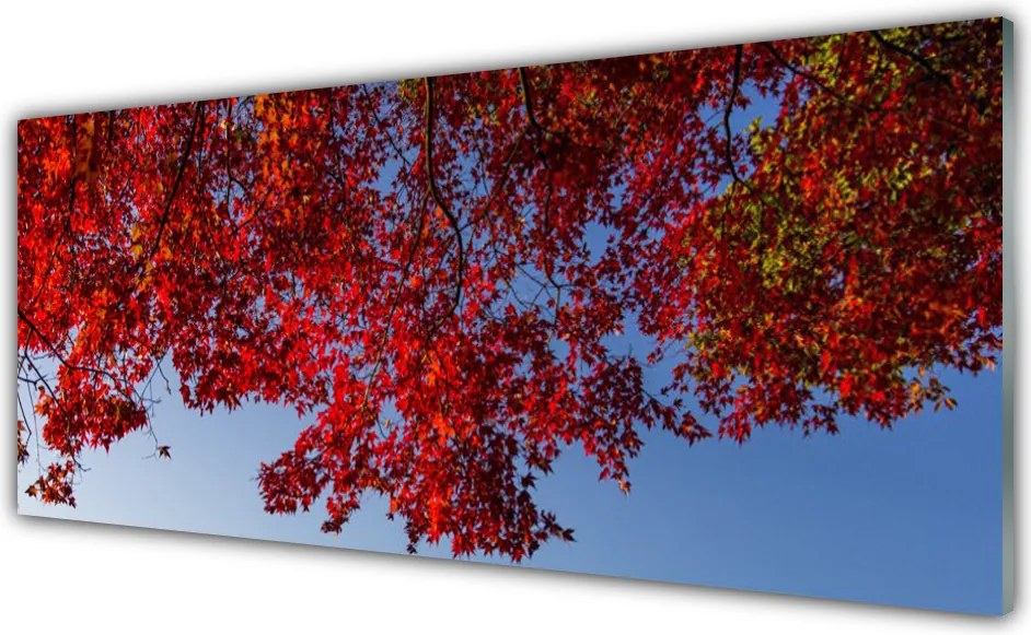 Panel Szklany do Kuchni Rozłożysta Korona Drzewa