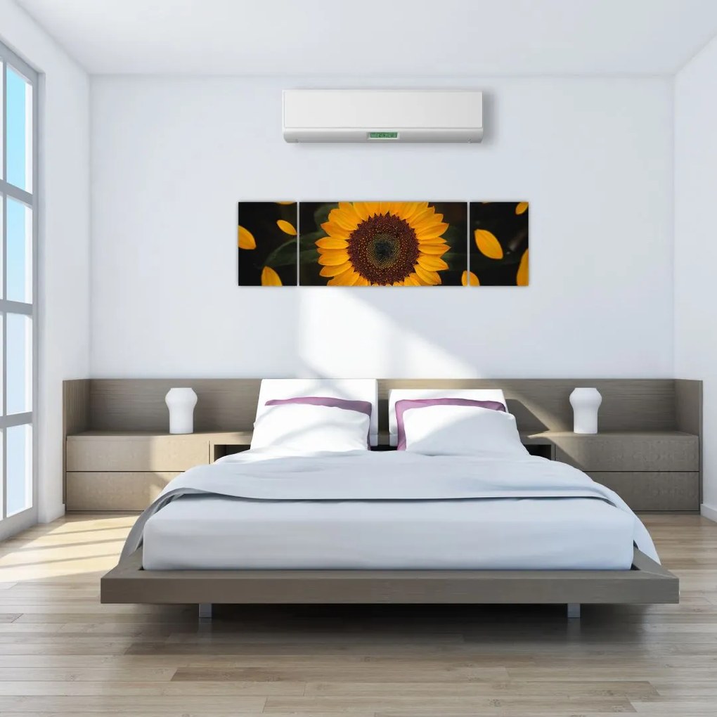 Obraz  - Słonecznik i płatki kwiatów (170x50 cm)