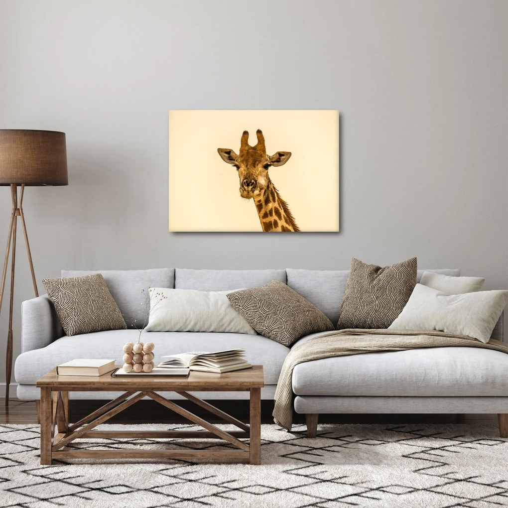 Obraz żyrafy (70x50 cm)