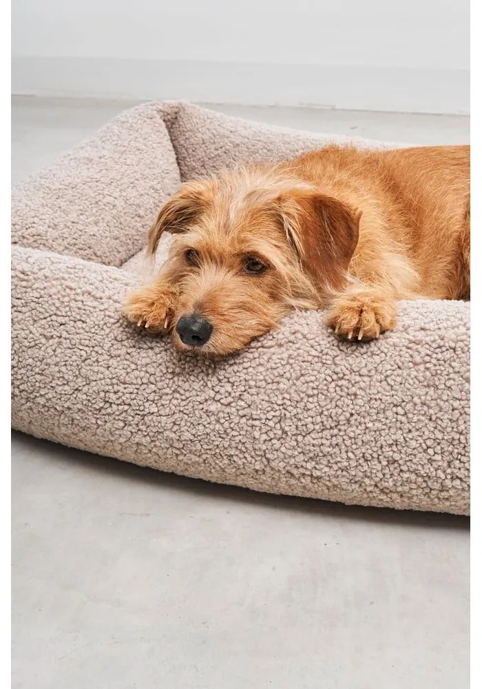 Beżowe legowisko dla psów z materiału bouclé 93x120 cm Senso Greige L – MiaCara