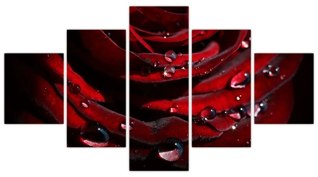 Obraz - Detal róży (125x70 cm)