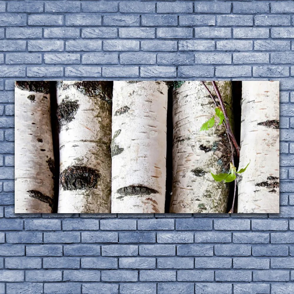 Obraz na płótnie Sylwetka Starego Drzewa