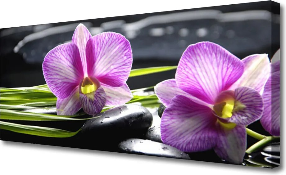 Obraz canvas Delikatność Płatków Storczyka