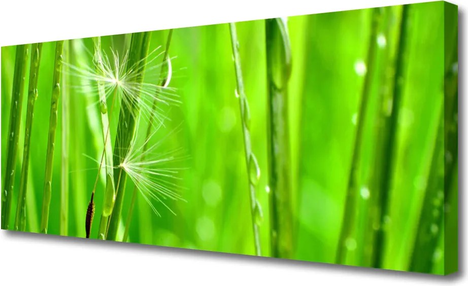 Obraz na płótnie Naturalna Tekstura Trawy