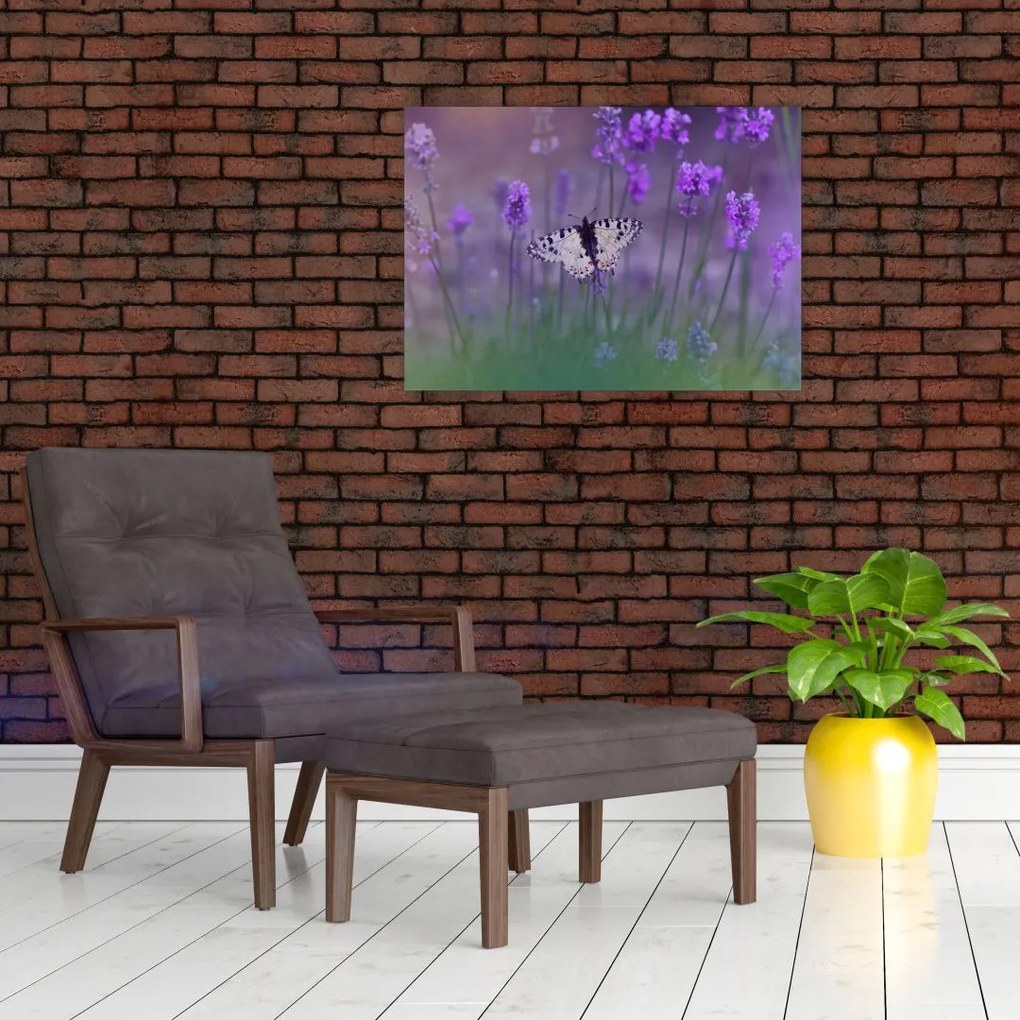 Obraz - Motyl w lawendach (70x50 cm)