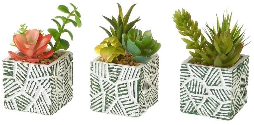 Sztuczne rośliny zestaw 3 szt. (wysokość 12 cm) Cactus – Casa Selección
