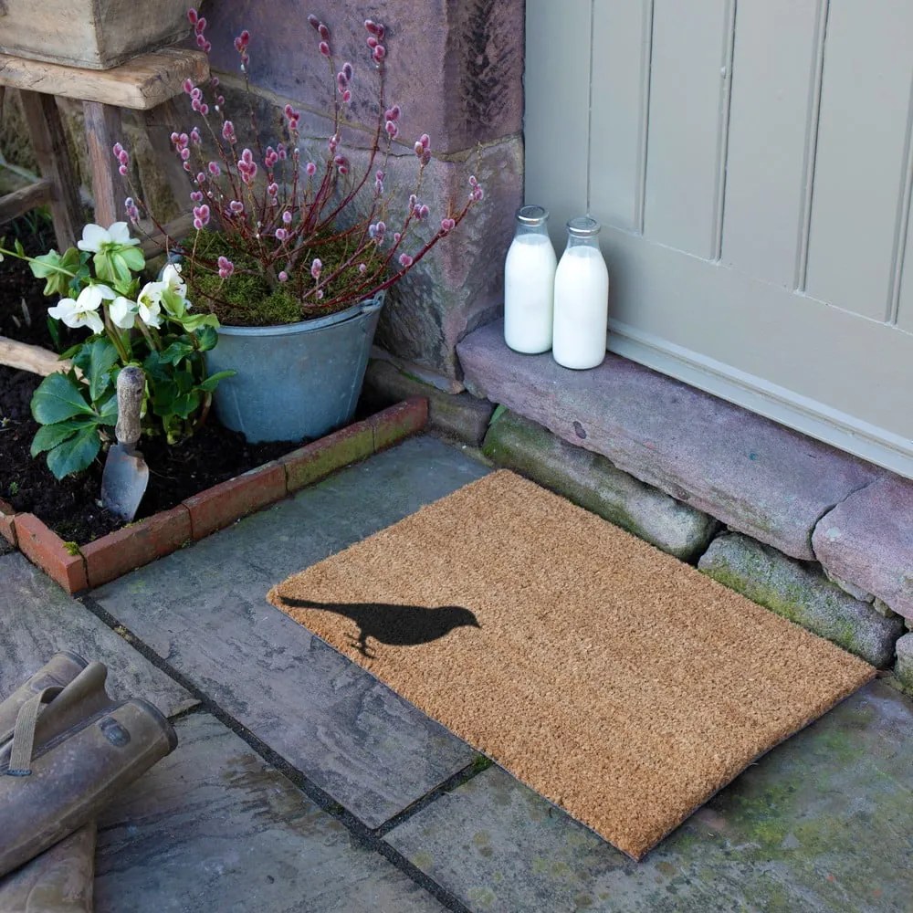 Wycieraczka z włókna kokosowego 40x60 cm Bird – Artsy Doormats