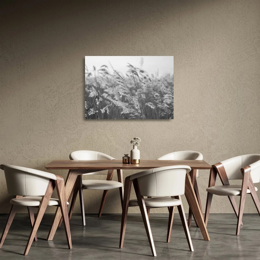 Obraz na szkle - Trawa na wietrze (70x50 cm)