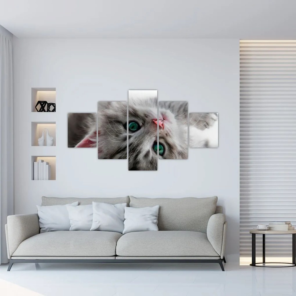 Obraz - Kot z zielonymi oczami (125x70 cm)