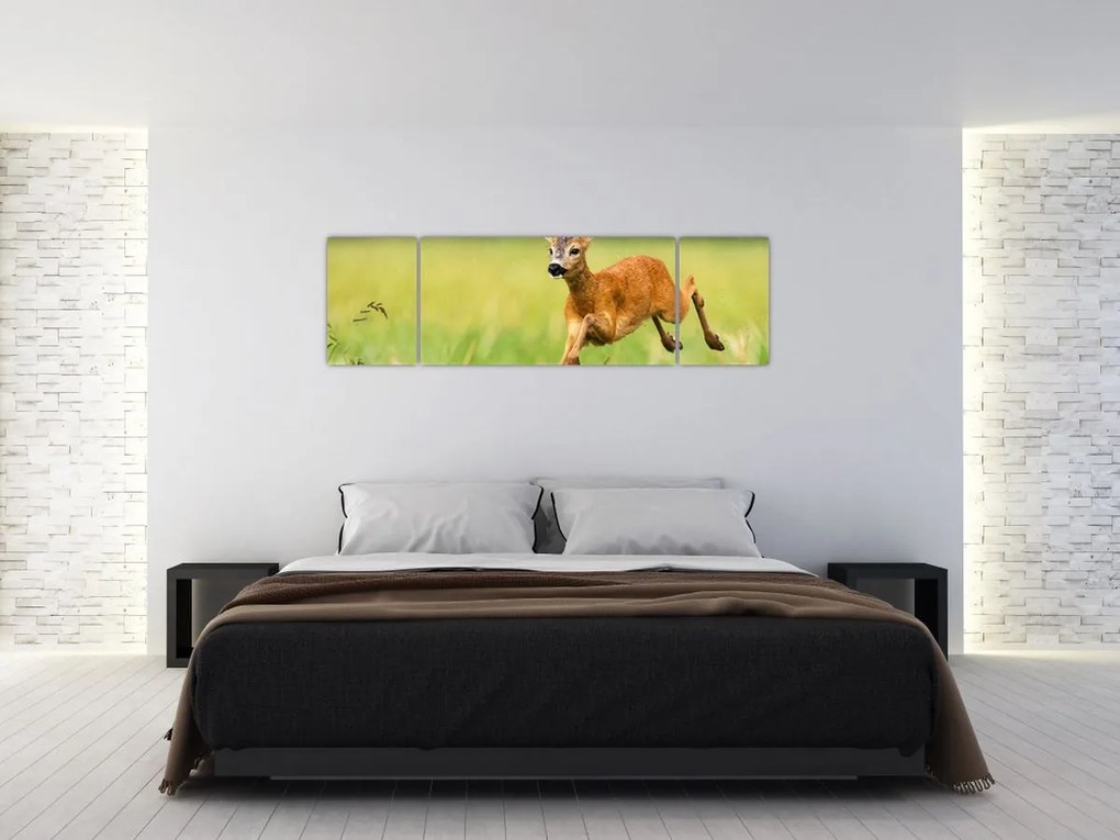 Obraz - Sarna (170x50 cm)