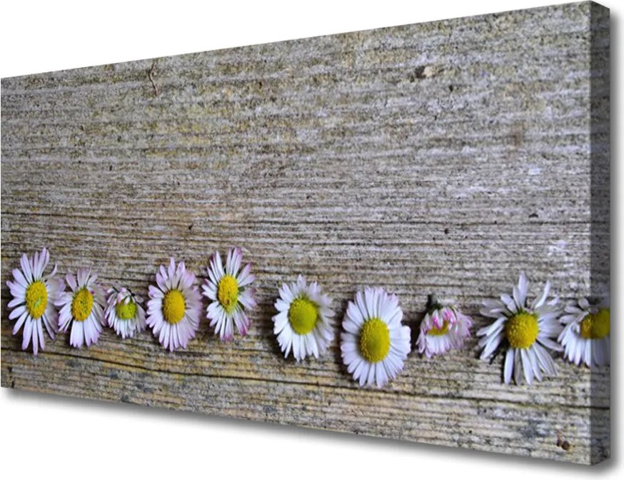 Obraz canvas Śnieżnobiała Stokrotka w Trawie