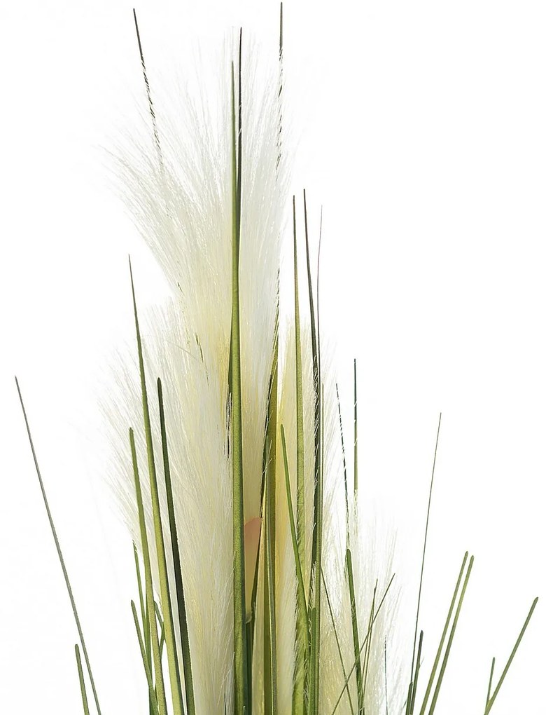 Dekoracja roślinna Pampas Grass 100cm