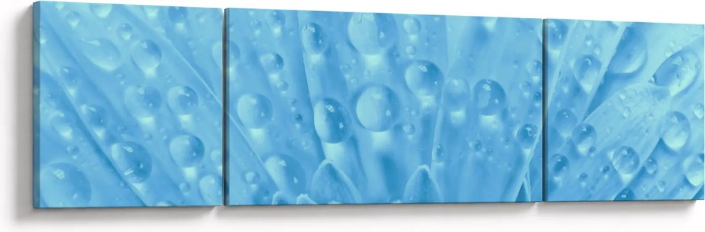 Obraz - Ujęcie makro kwiatu (170x50 cm)