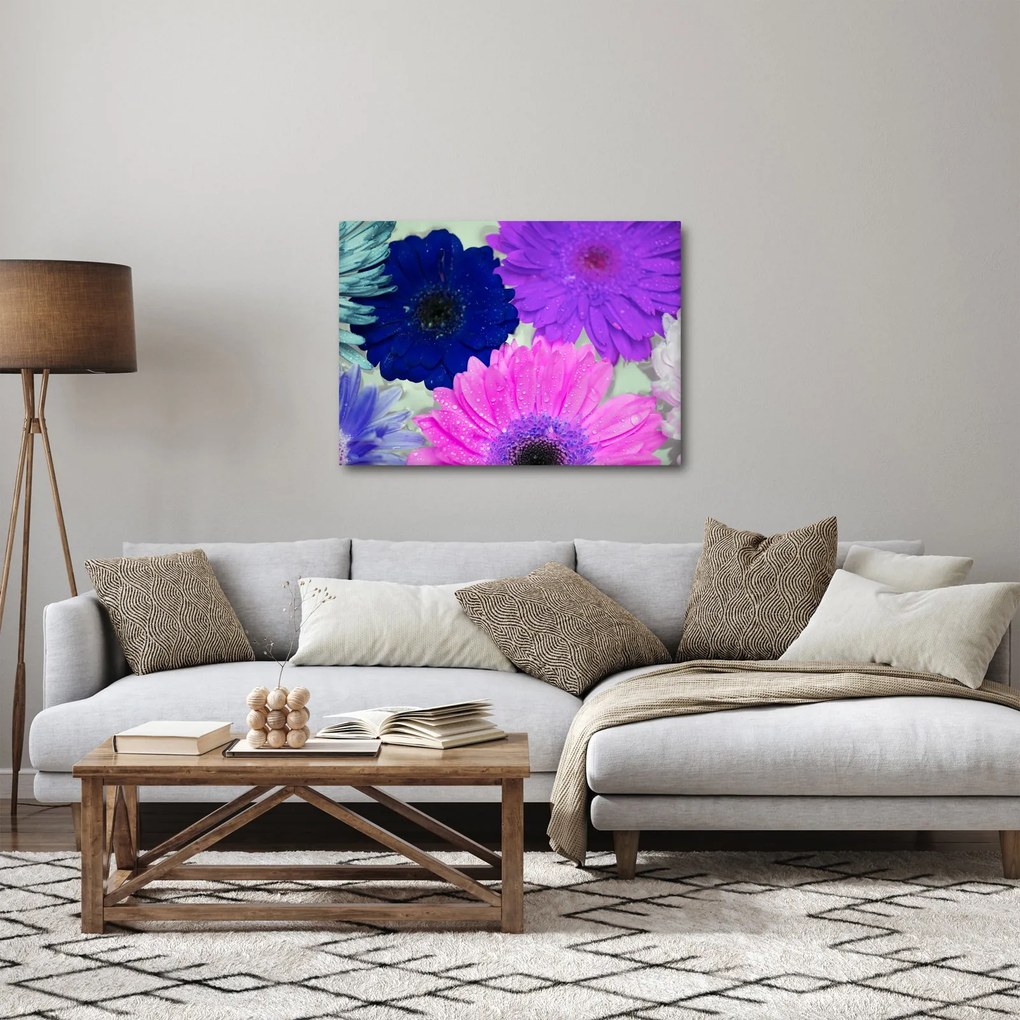 Obraz kolorowych kwiatów (70x50 cm)