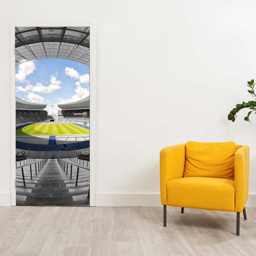 Fototapeta na drzwi - Stadion piłkarski (95x205cm)