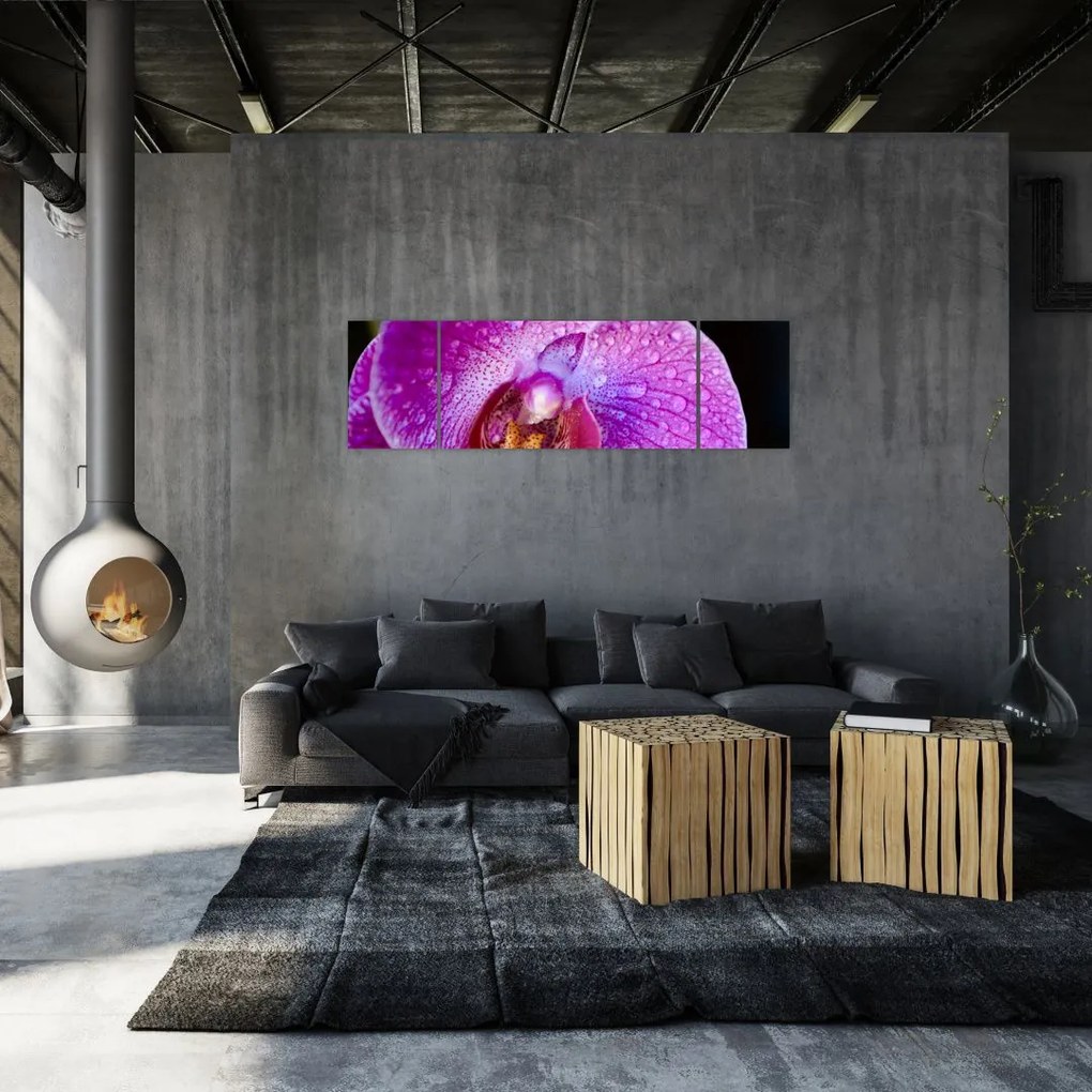 Zbliżenie kwiatu orchidei (170x50 cm)