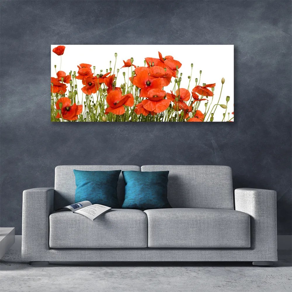 Obraz na płótnie Polne Maki w Słońcu